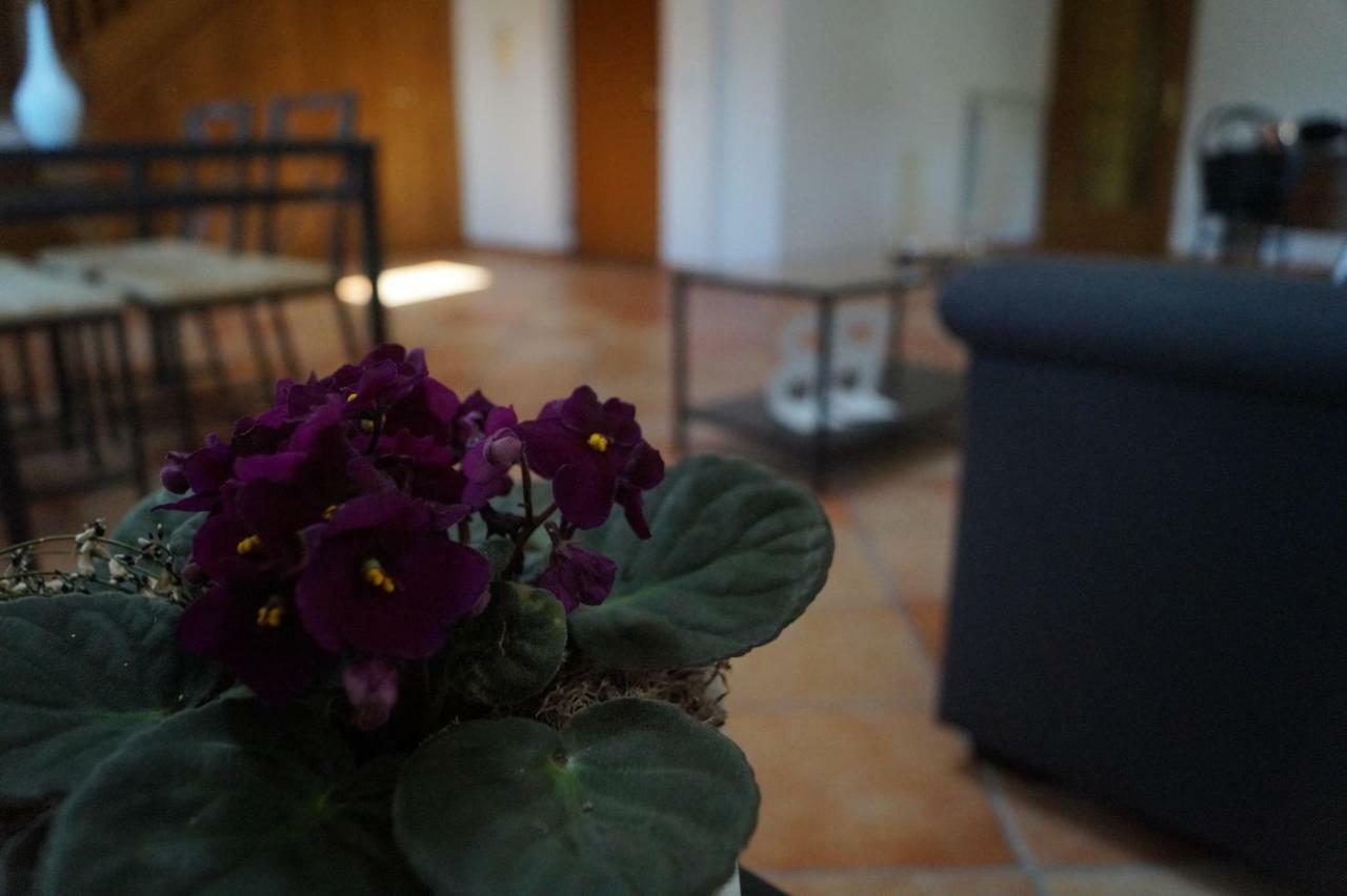 Bonjour Bonheur Bed & Breakfast Avellino Ngoại thất bức ảnh